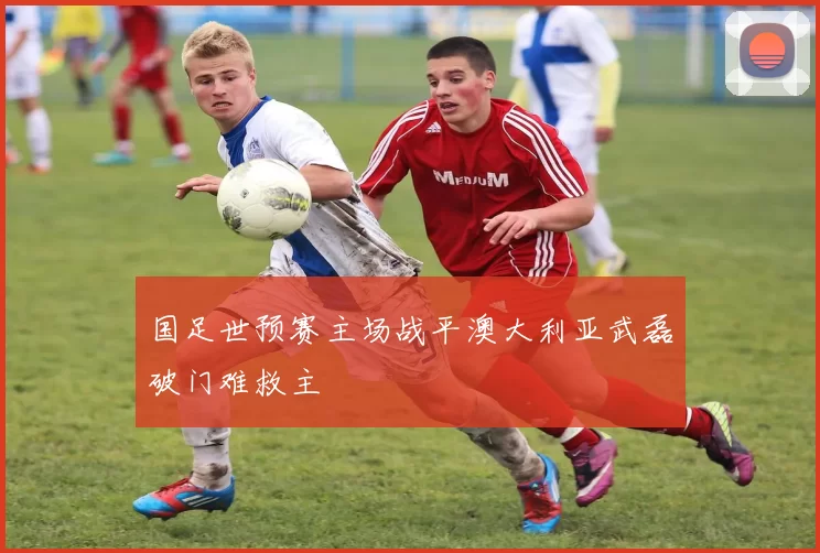 国足世预赛主场战平澳大利亚武磊破门难救主